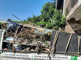 Property Management Cleanouts in Herlong, CA